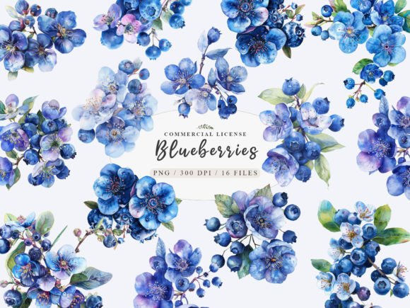 Download Watercolor Blueberry Clipart, Blueberry - Premium Bundle