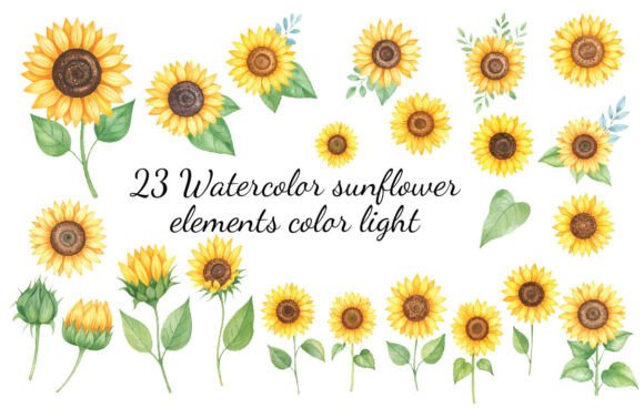 Download 23 Watercolor Sunflower Elements Color - Element Collection