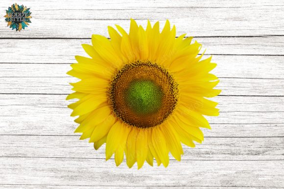 Download Sunflower Design PNG Sublimation - Design Collection