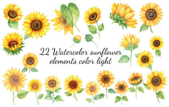 Download 22 Watercolor Sunflower Elements Color L - Element Collection