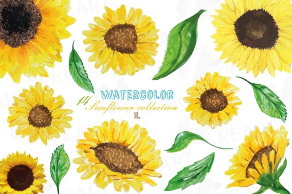 Download Sunflowers Watercolor Decor Elements Png - Element Collection