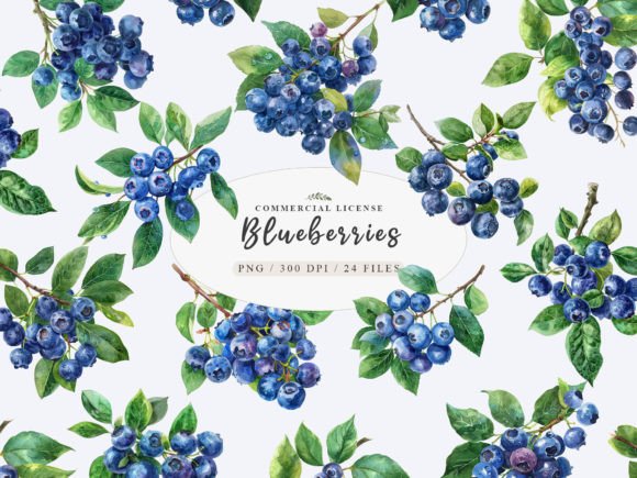 Download Berries Clip Art, Blueberry Branch Png - Premium Bundle